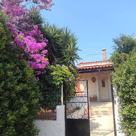 Olive Grove Cottage Skalani Knossós 外观 照片
