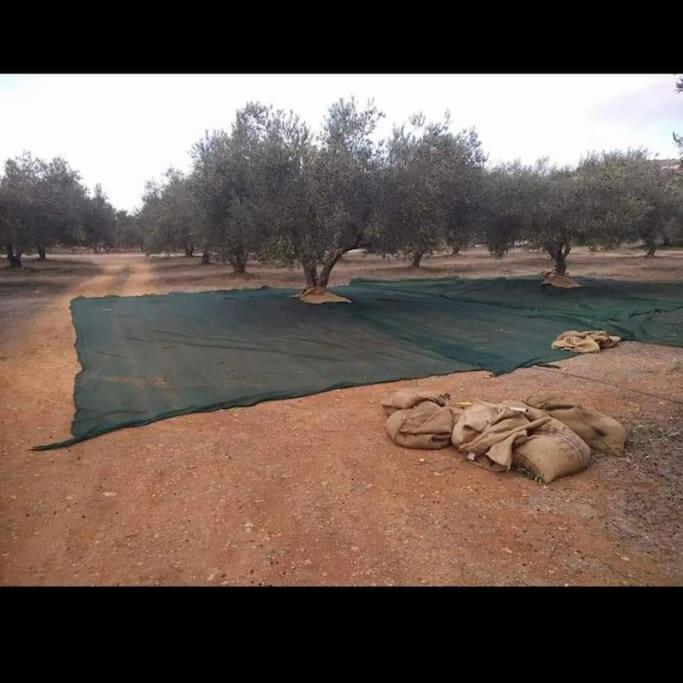 Olive Grove Cottage Skalani Knossós 外观 照片