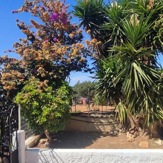 Olive Grove Cottage Skalani Knossós 外观 照片