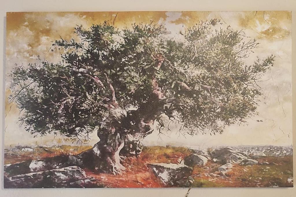 Olive Grove Cottage Skalani Knossós 外观 照片