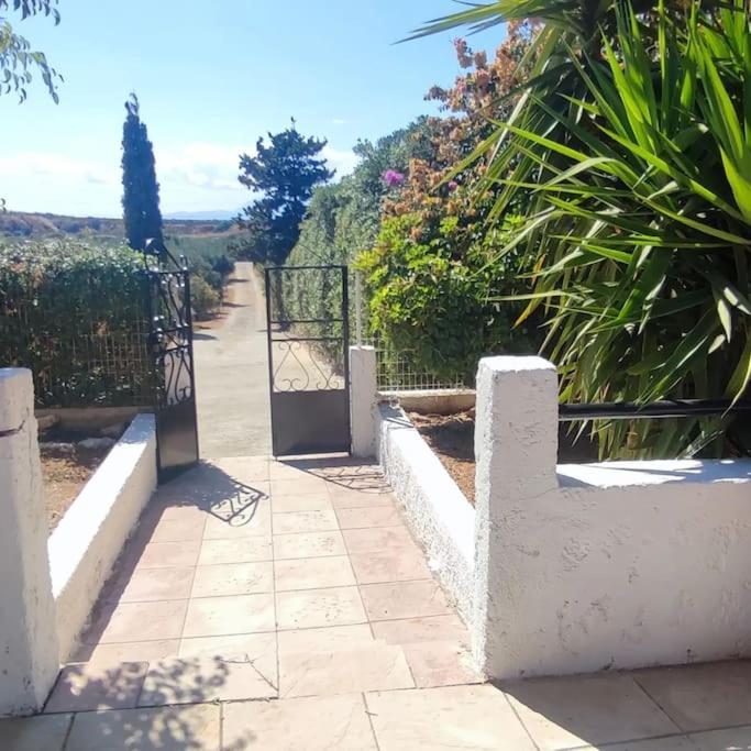 Olive Grove Cottage Skalani Knossós 外观 照片