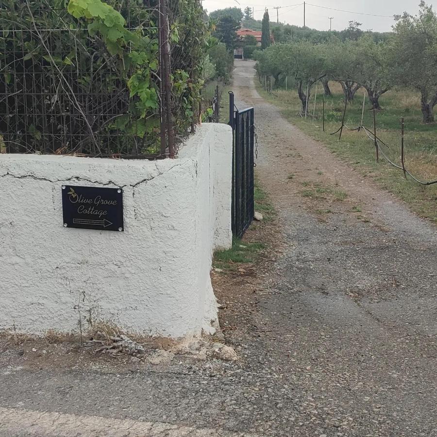 Olive Grove Cottage Skalani Knossós 外观 照片