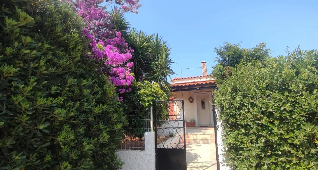 Olive Grove Cottage Skalani Knossós 外观 照片