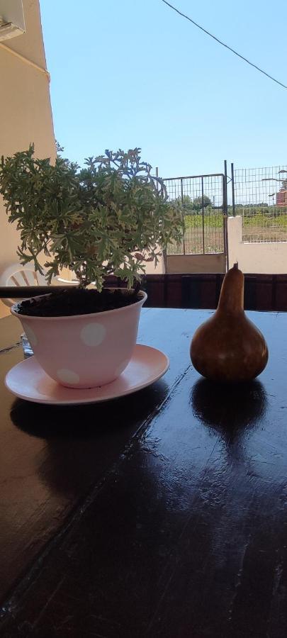Olive Grove Cottage Skalani Knossós 外观 照片